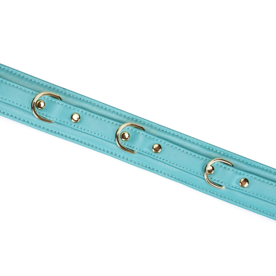 Нашийник з повідцем Liebe Seele Blue Lamb Leather Collar with Velvet Lining