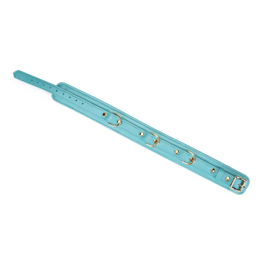 Нашийник з повідцем Liebe Seele Blue Lamb Leather Collar with Velvet Lining