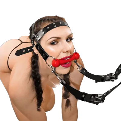 БДСМ кляп-упряжка  Art of Sex - BDSM Gag Harness Pony