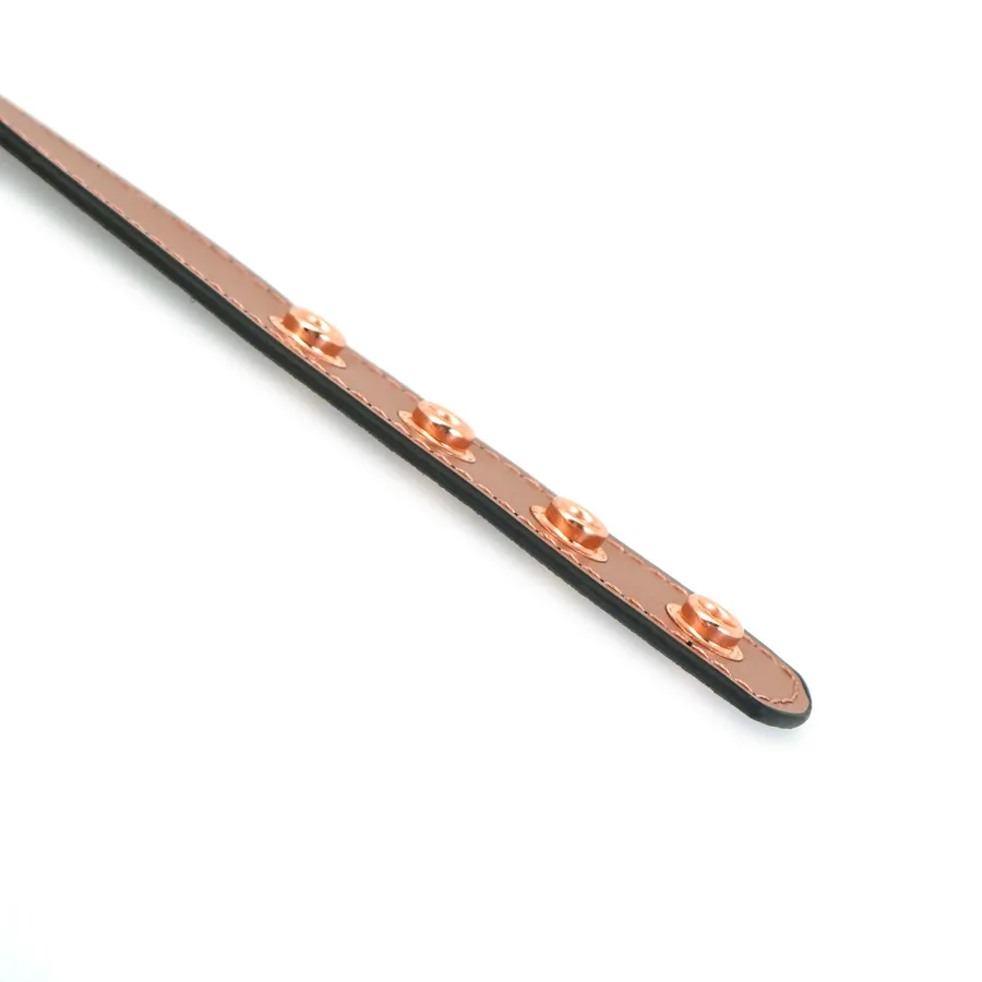 Нашийник із затискачами для сосків Liebe Seele Rose Gold Memory Collar with Nipple Clamps, шкіра