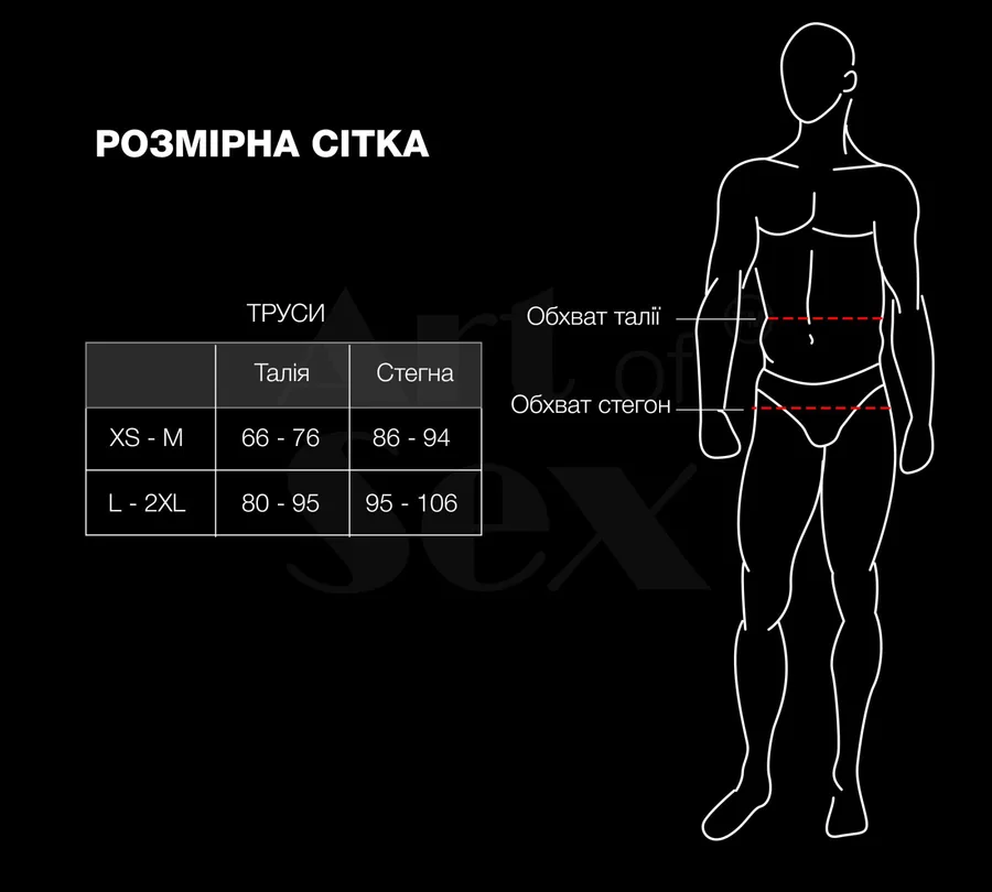 Чоловічі труси з сітки Art of Sex — Demir, колір чорний, розмір L–2XL