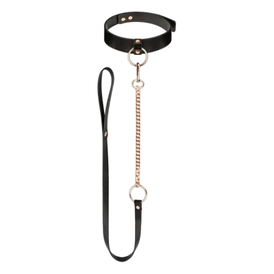Нашийник з повідцем Rosy Gold - Collar with Leash - Black