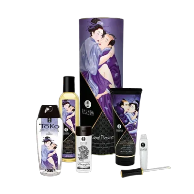 Подарунковий набір Shunga CARNAL PLEASURES: 6 елементів пристрасної ночі