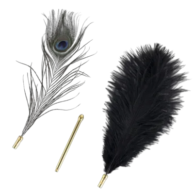 Лоскітка LOCKINK SEVANDA Natural Peacock Flirting Feather Tickler, пір’я павича та страуса