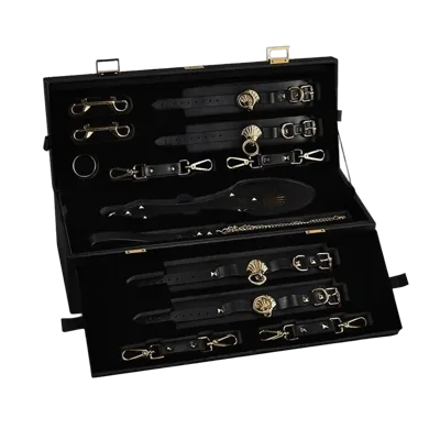 Розкішний набір для BDSM Zalo Bondage Play Kit, 10 аксесуарів у кейсі, шкіра, кристал Swarovski