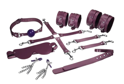 Набір Feral Feelings BDSM Kit 7 Burgundy, наручники, поножі, конектор, маска, падл, кляп, затискачі